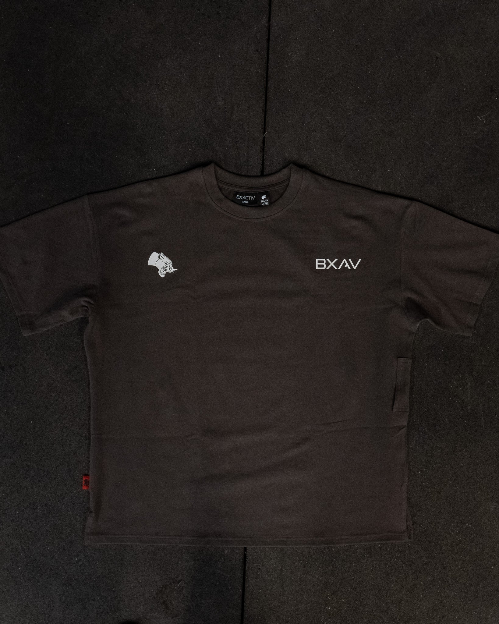 Big Logo Oversize Tee (5 Color Options)