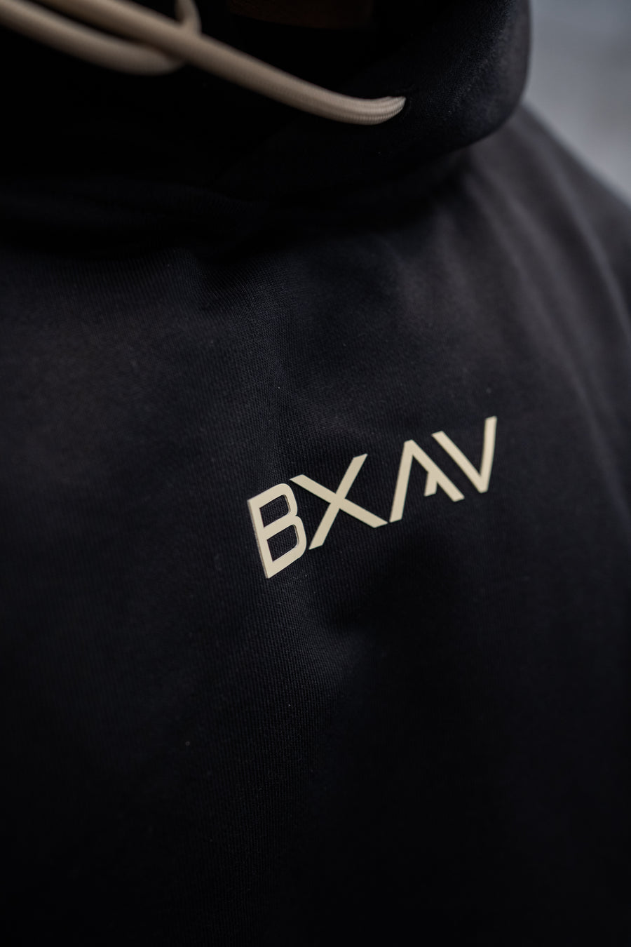Heavyweight Big Logo Hoodie (Boxy Fit)