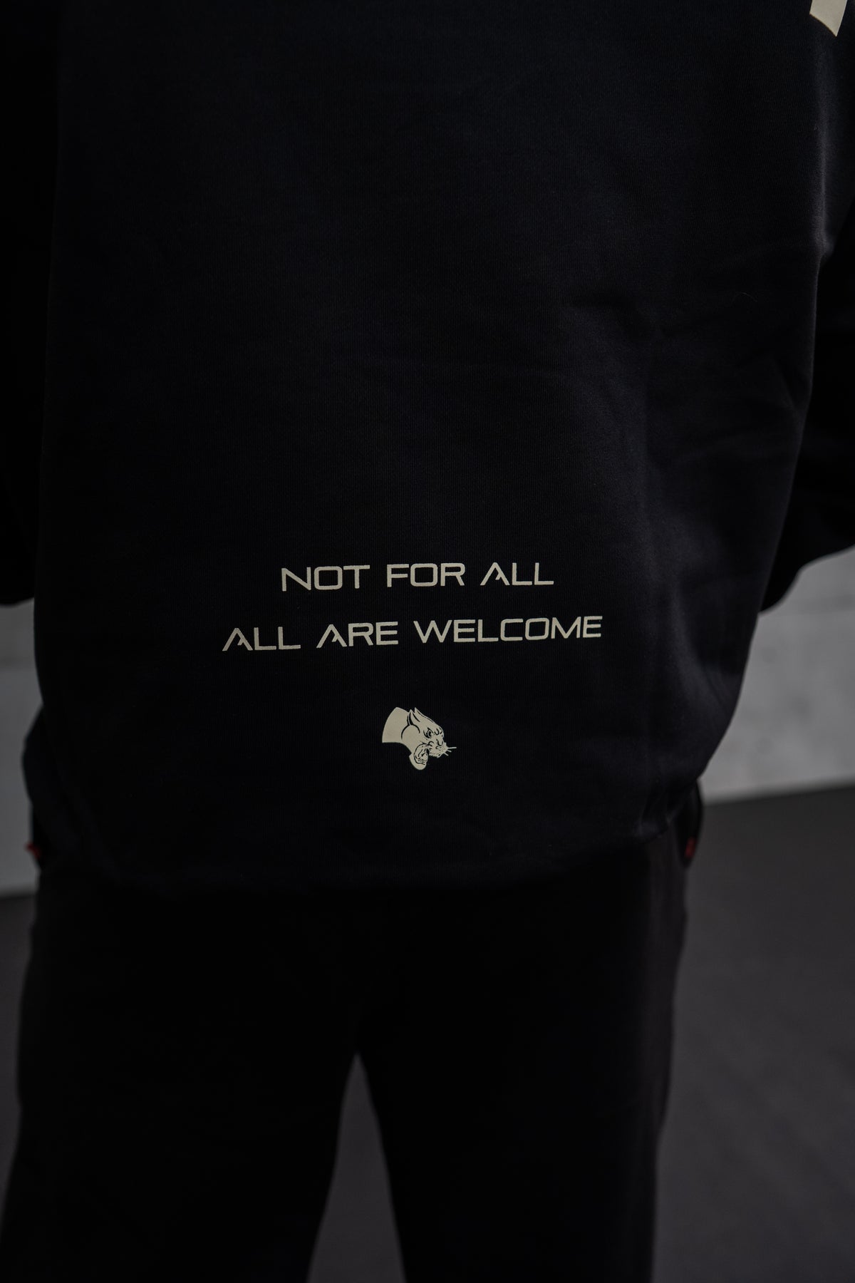 Heavyweight Big Logo Hoodie (Boxy Fit)